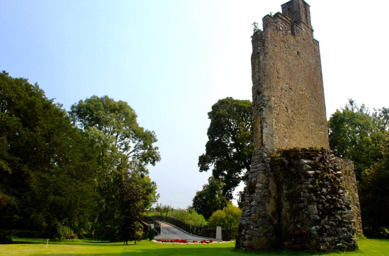Castle Cooke, Ireland